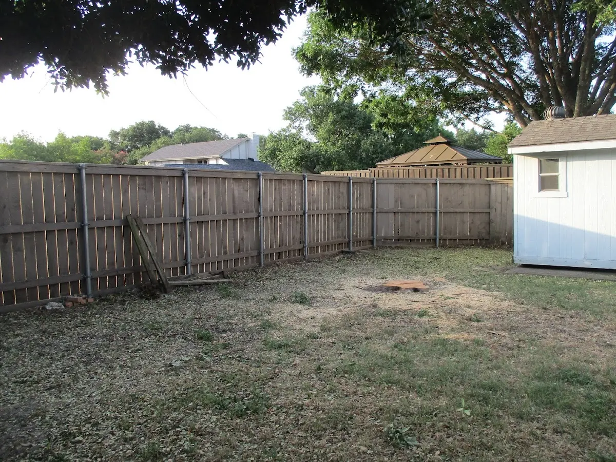 Cleared yard after professional tree removal in Little Neck